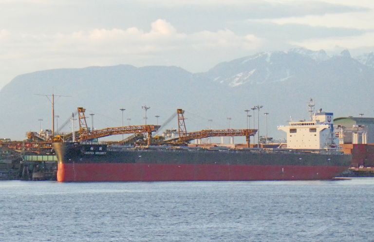 CEMTEX SINCERITY photo