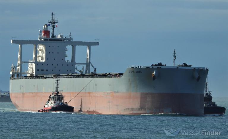 CAPE AMAL, Bulk Carrier - Details and current position - IMO 9820879 -  VesselFinder