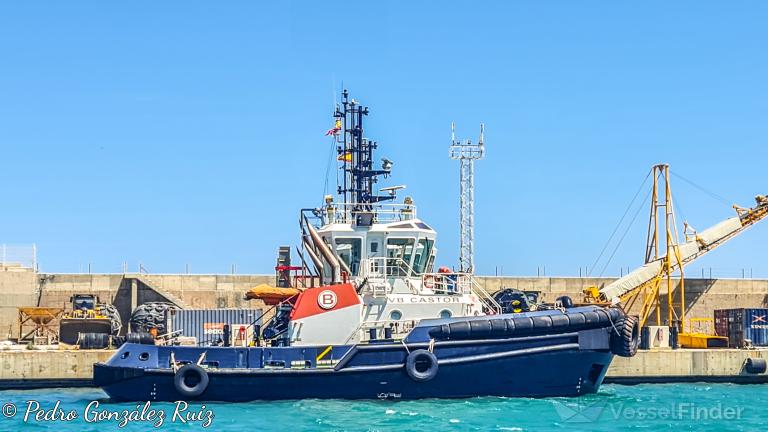 VB CASTOR photo