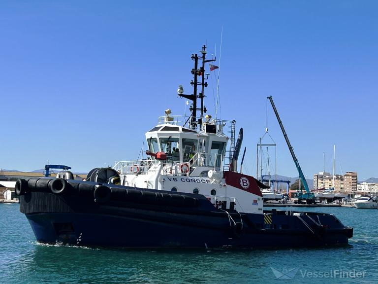 VB CONDOR photo