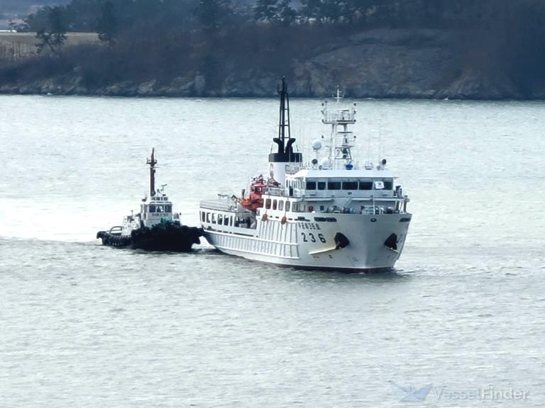 MUGUNGHWA NO.36 photo