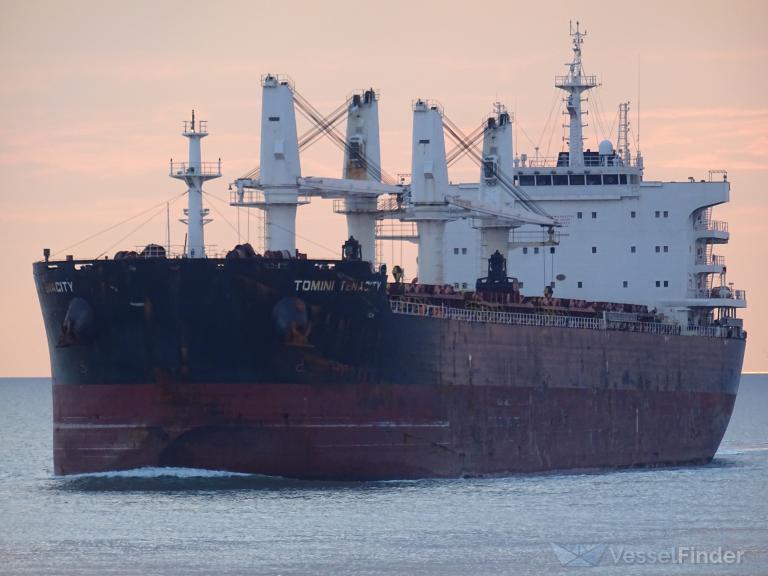 TOMINI TENACITY photo