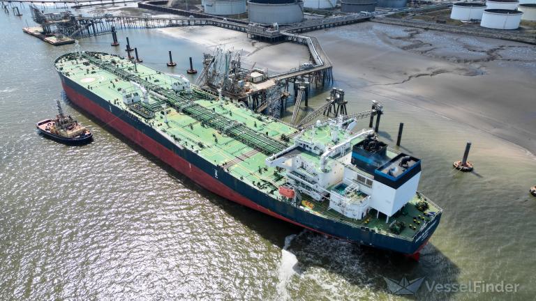 MARLIN SOMERSET photo