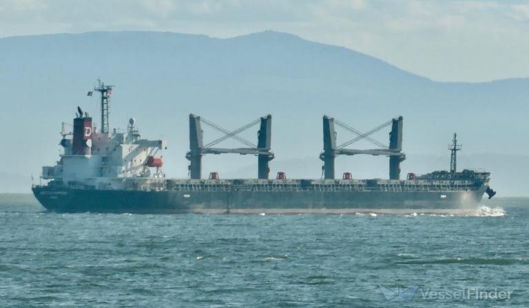 SEATTLE HARMONY photo