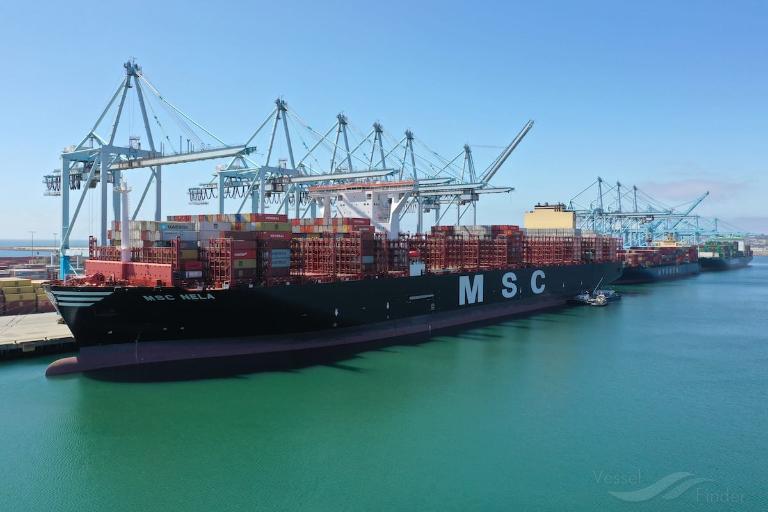 Msc Nela Container Ship Details And Current Position Imo 9839296 Mmsi 356234000 Vesselfinder