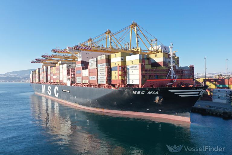 MSC MIA photo