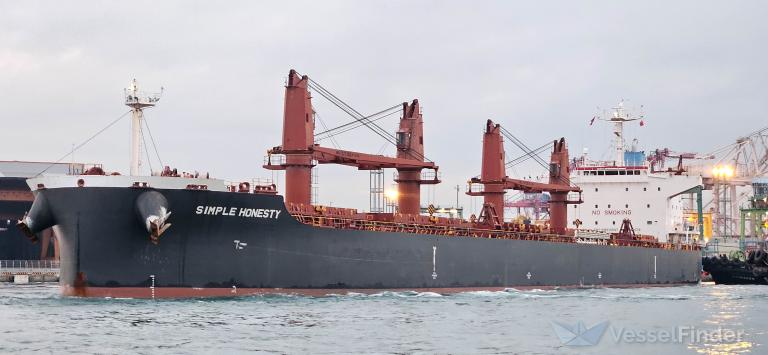 SIMPLE HONESTY photo