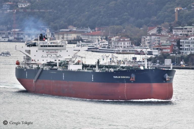 MARLIN SHIKOKU photo