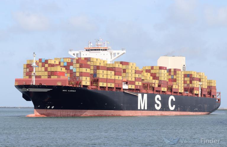 MSC KANOKOの模型　コンテナ船 MSC KANOKOの模型 コンテナ船