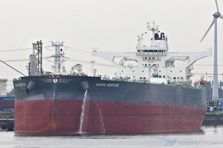 NISSOS DESPOTIKO photo