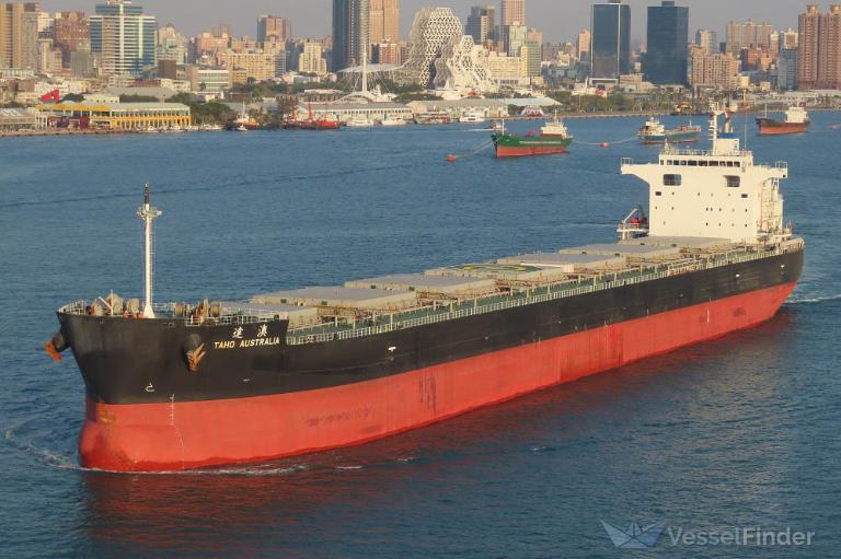 TAHO AUSTRALIA photo