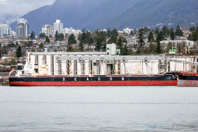 SEACON SHANGHAI photo