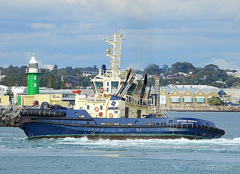 SVITZER REDHEAD photo
