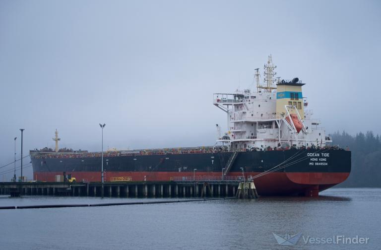 OCEAN TIDE, Bulk Carrier - Details and current position - IMO 9848534 ...