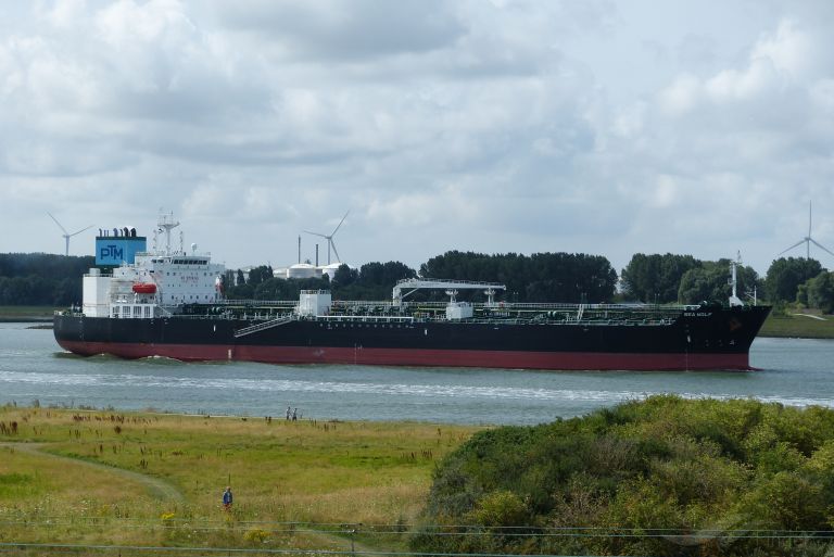 SEA WOLF photo