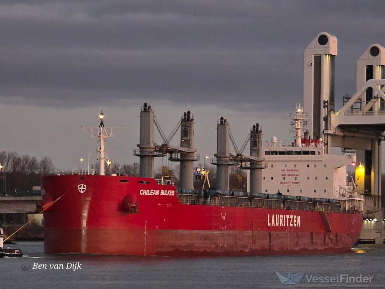 CHILEAN BULKER photo