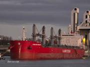 CHILEAN-BULKER