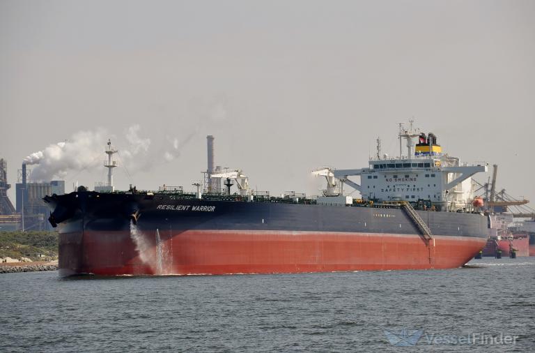 RESILIENT WARRIOR photo