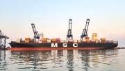 MSC-ORION