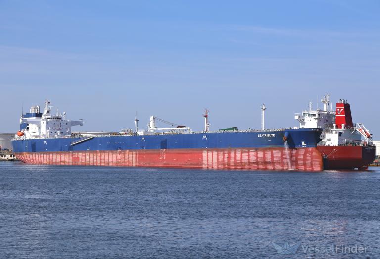 SEATRIBUTE photo