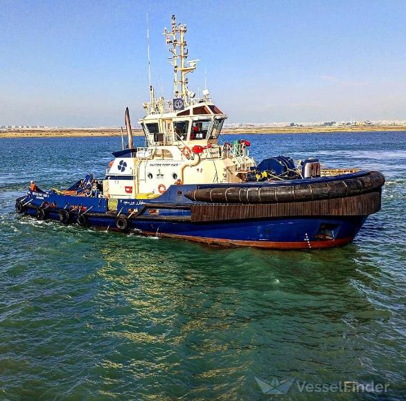 SVITZER PORT SAID 2 photo