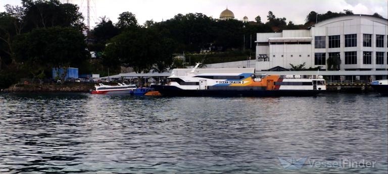 OCEAN DRAGON 5 photo