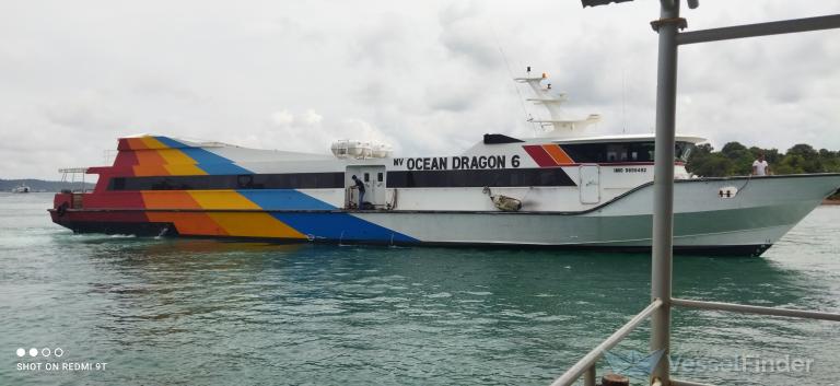 OCEAN DRAGON 6 photo