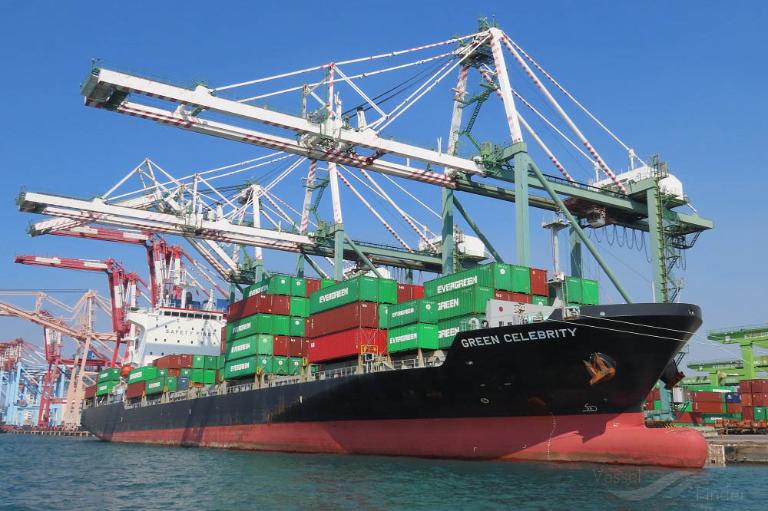 GREEN CELEBRITY photo