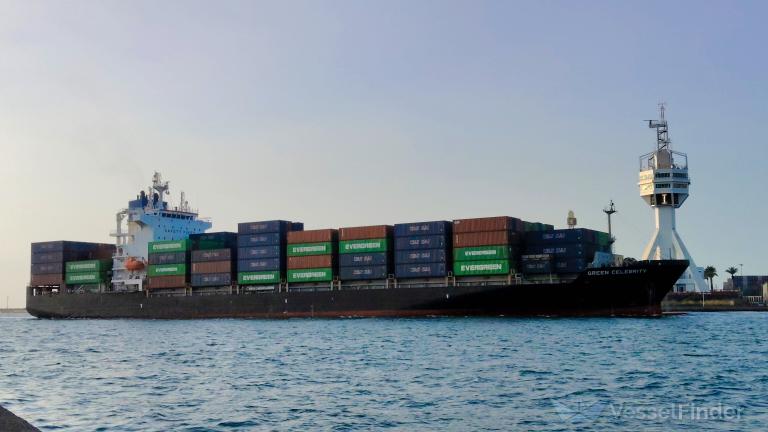 GREEN CELEBRITY photo