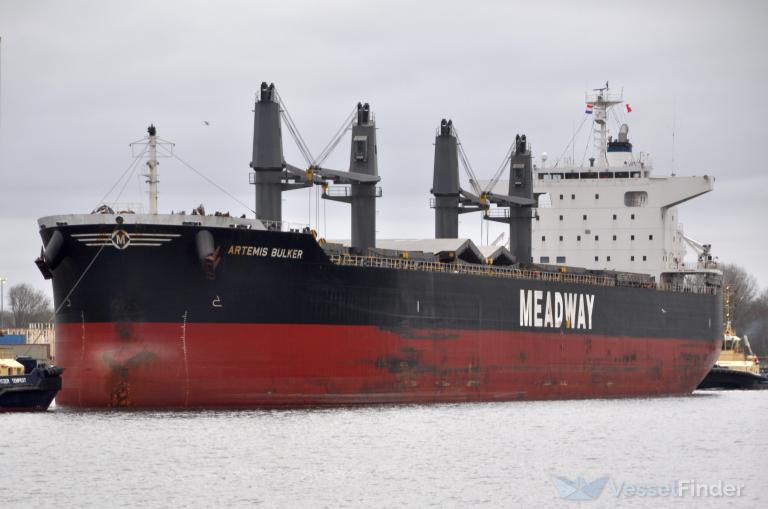 ARTEMIS BULKER photo