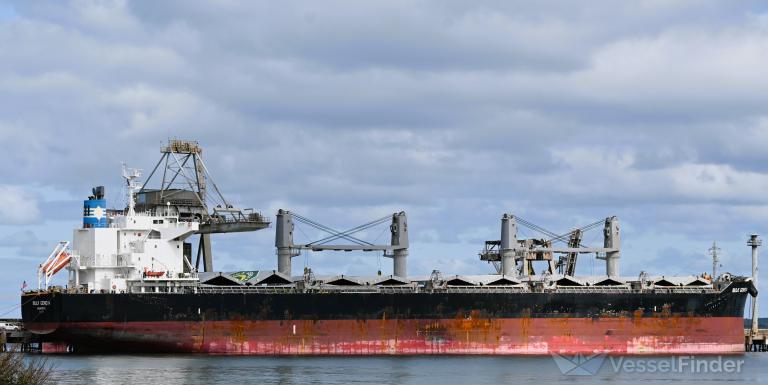 BULK GENEVA photo