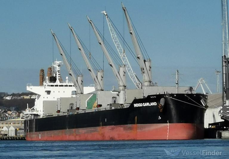 INDIGO GARLAND photo