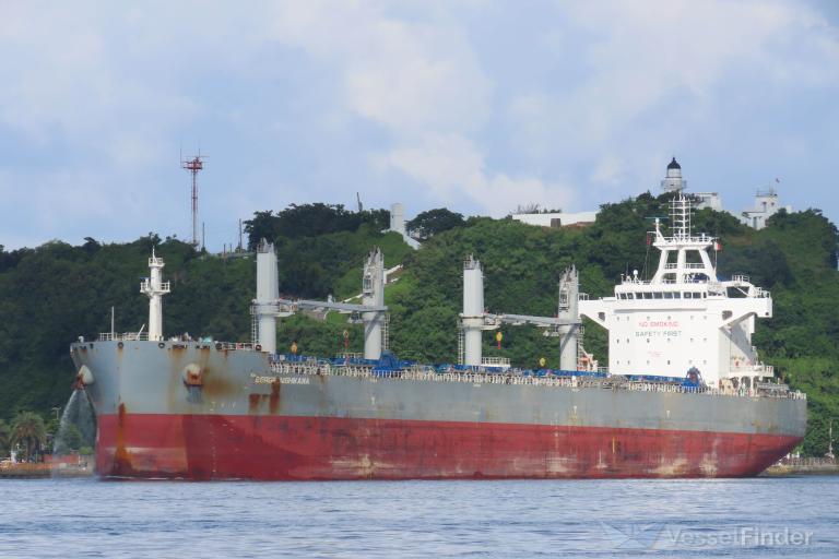 BERGE NISHIKAWA photo