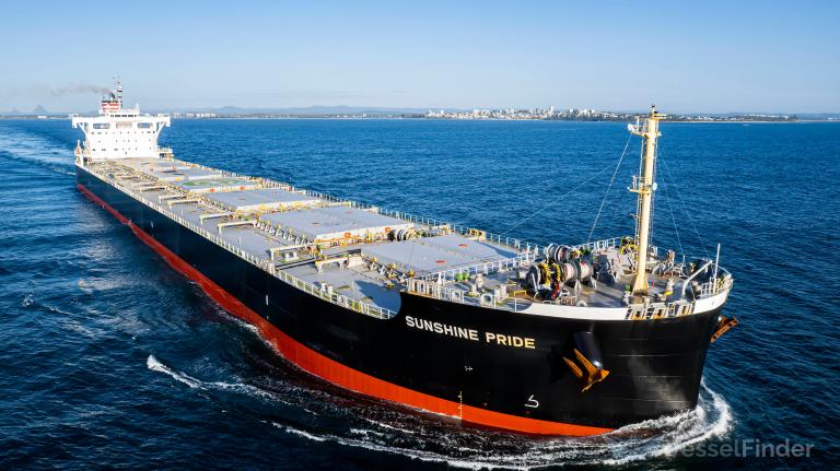 SUNSHINE PRIDE photo