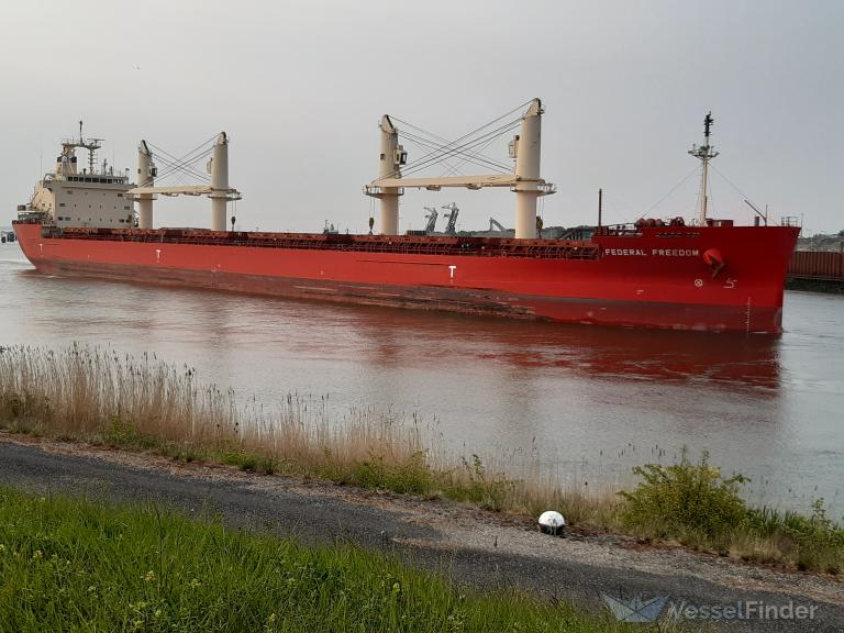 FEDERAL FREEDOM photo