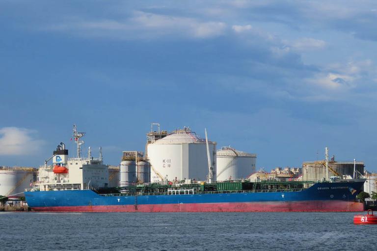 GOLDEN SAGITTARIUS photo