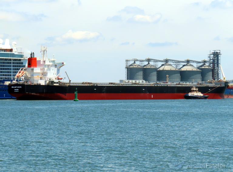 BRILLIANT SAKURA photo