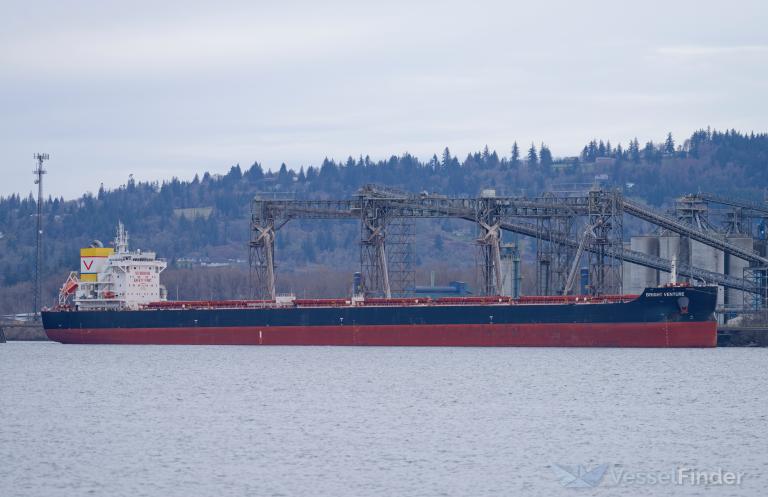 BRIGHT VENTURE photo