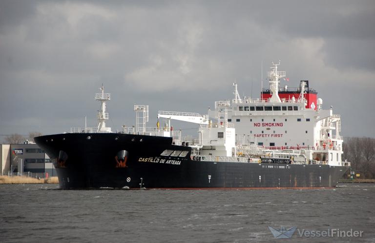 CASTILLO DE ARTEAGA photo