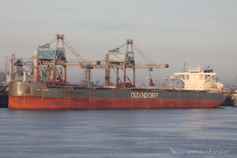 HAUKE OLDENDORFF photo