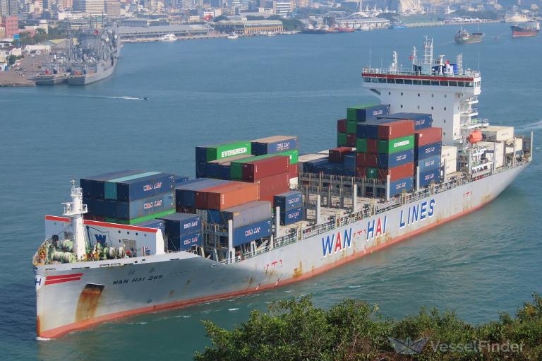 海 71awJeUfAIL._UF350,350_QL80_.jpg