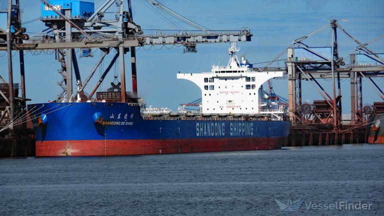 SHANDONG DE XIANG photo