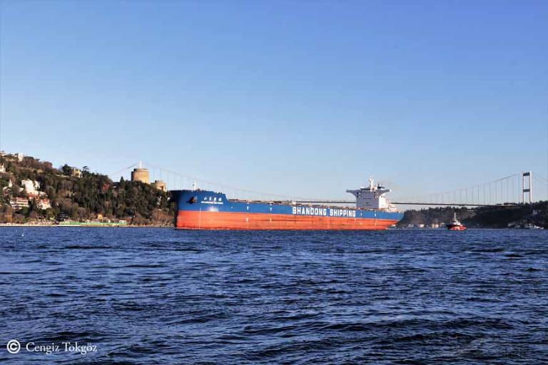 SHANDONG DE HONG photo