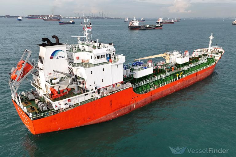 CAI HONG DAO 6 photo