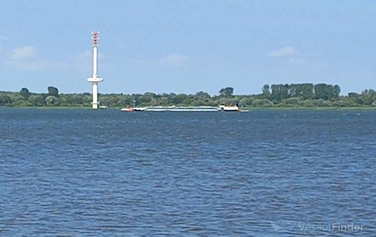 IMPALA MAGANGUE photo