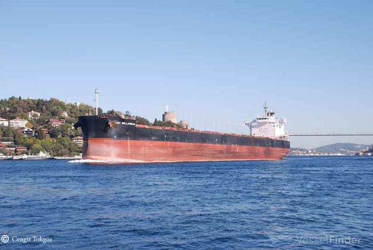 LADY BELLAMELIA photo