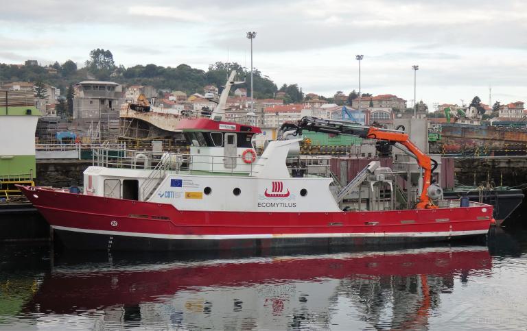 ECOMYTILUS photo