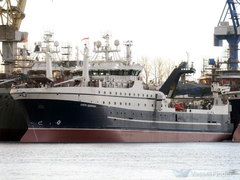 KAPITAN VDOVICHENKO photo