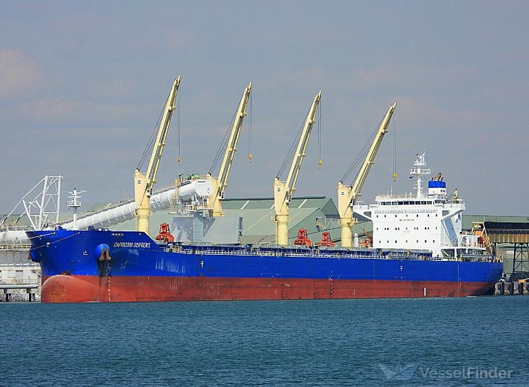 CAPRICORN CONFIDENCE photo