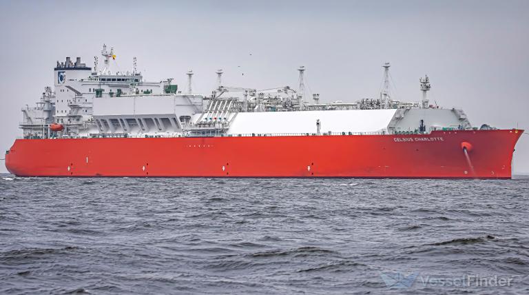 CELSIUS CHARLOTTE photo